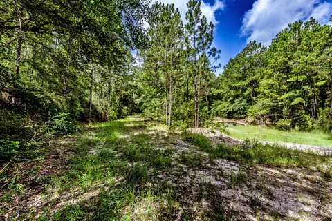 $195,000 | 1030 Scott Road, Groveton, TX 75845