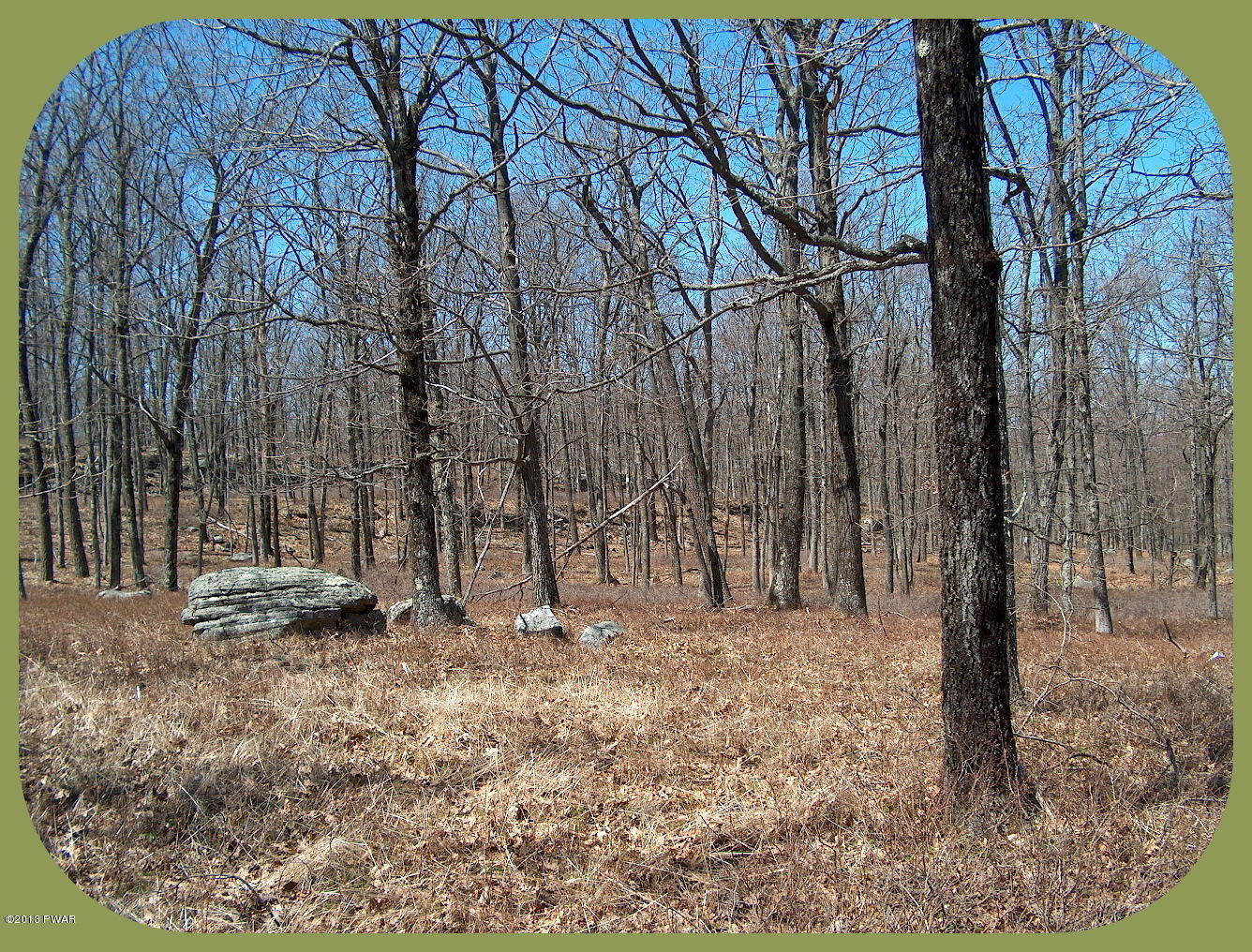 156 3 Legged Swamp Road Canadensis, PA 18325 - Photo 8 of 72