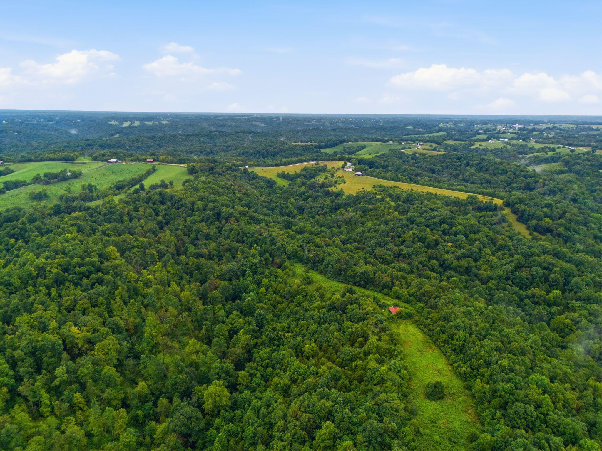 165 Rye Road Mount Olivet, KY 41064 - Photo 3 of 11 6_dji_20260812141911_0127_d