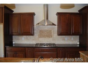 459 Overton Road Springfield, IL 62711 - Photo 9 of 24