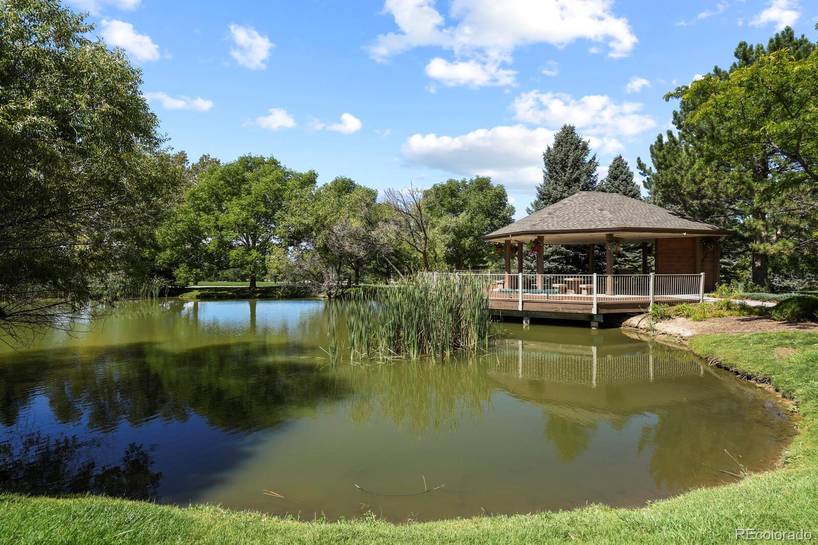 6444 Silver Mesa Drive, Unit A Highlands Ranch, CO 80130 - Photo 38 of 40 a view of swimming pool and lake view