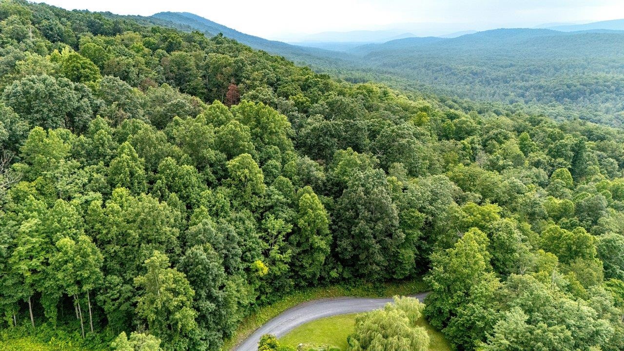 Tbd Rinker Road Broadway, VA 22815 - Photo 2 of 27 a view of a forest with a street