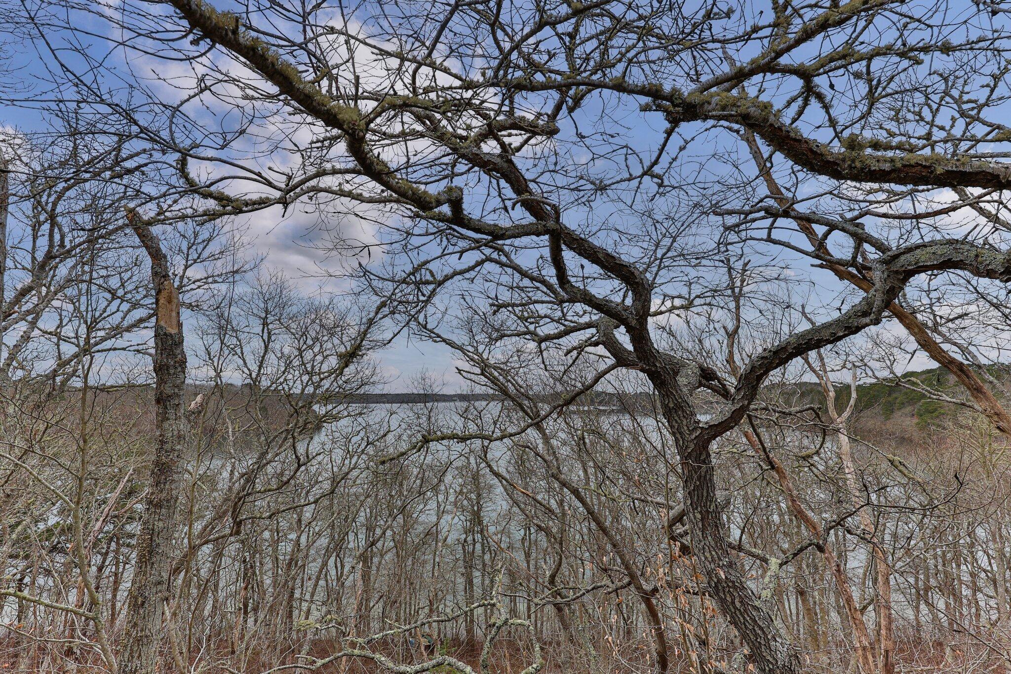 52 Captain Baker Road Brewster, MA 02631 - Photo 34 of 54 40-web-or-mls-52-captain-baker-rd