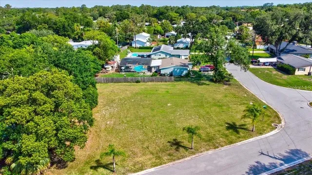 a view of a swimming pool with a yard and large trees