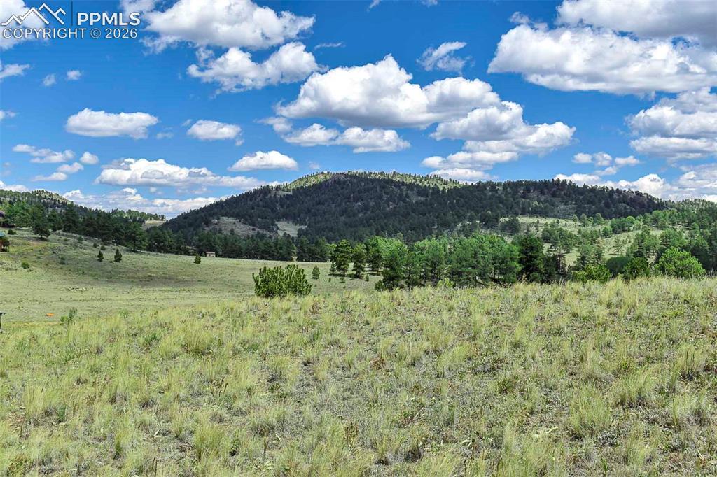 4680 County Road 71 Guffey, CO 80820 - Photo 3 of 15