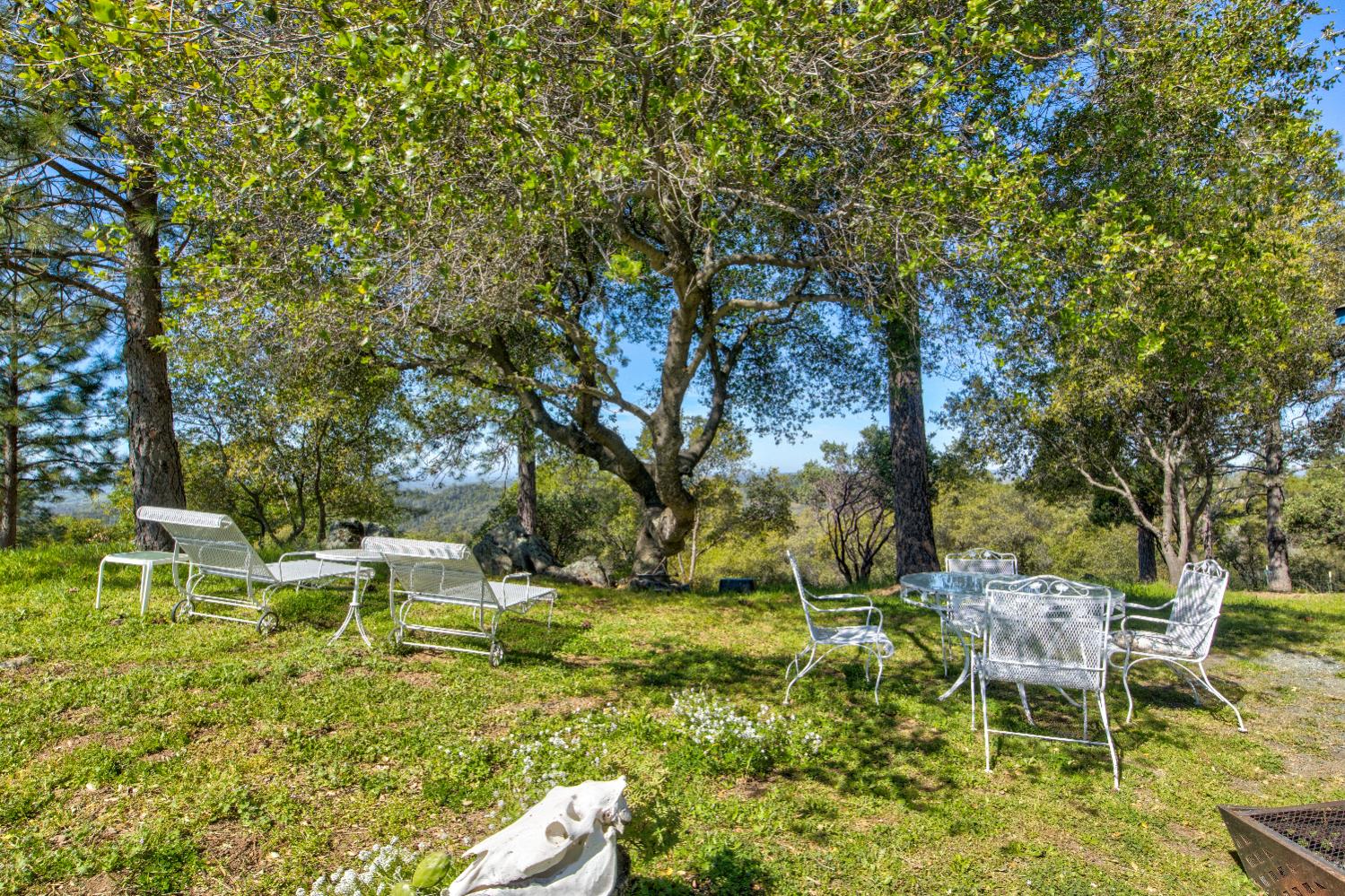 13088 Trembath Mountain Road Fiddletown, CA 95629 - Photo 76 of 98