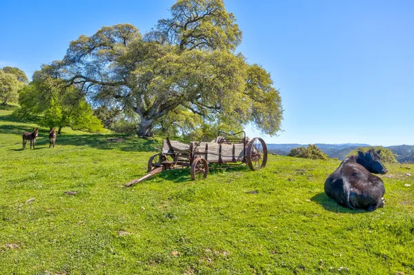 $1,475,000 | 13088 Trembath Mountain Road, Fiddletown, CA 95629