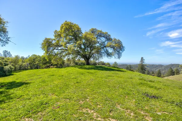 $1,475,000 | 13088 Trembath Mountain Road, Fiddletown, CA 95629