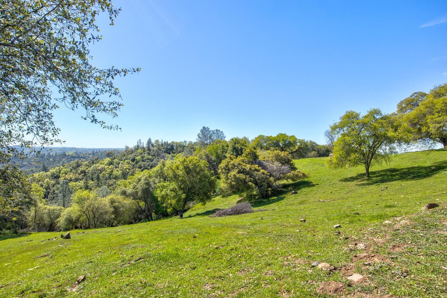 13088 Trembath Mountain Road Fiddletown, CA 95629 - Photo 84 of 98