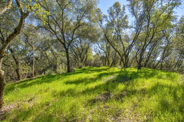 $1,475,000 | 13088 Trembath Mountain Road, Fiddletown, CA 95629