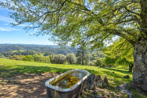 $1,475,000 | 13088 Trembath Mountain Road, Fiddletown, CA 95629