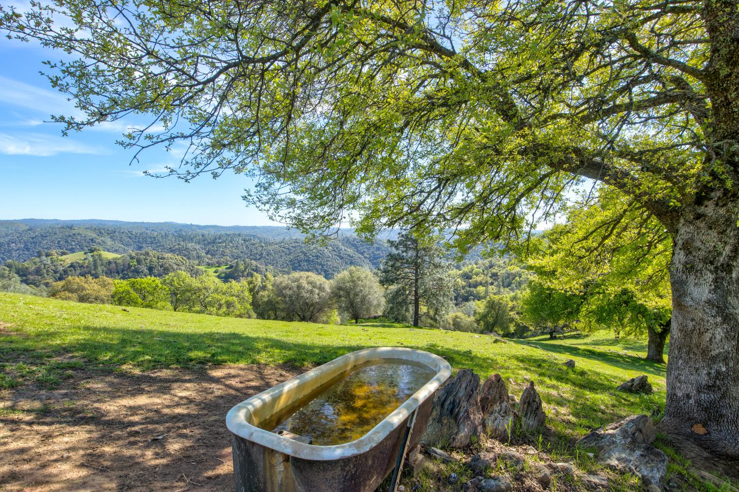 13088 Trembath Mountain Road Fiddletown, CA 95629 - Photo 86 of 98