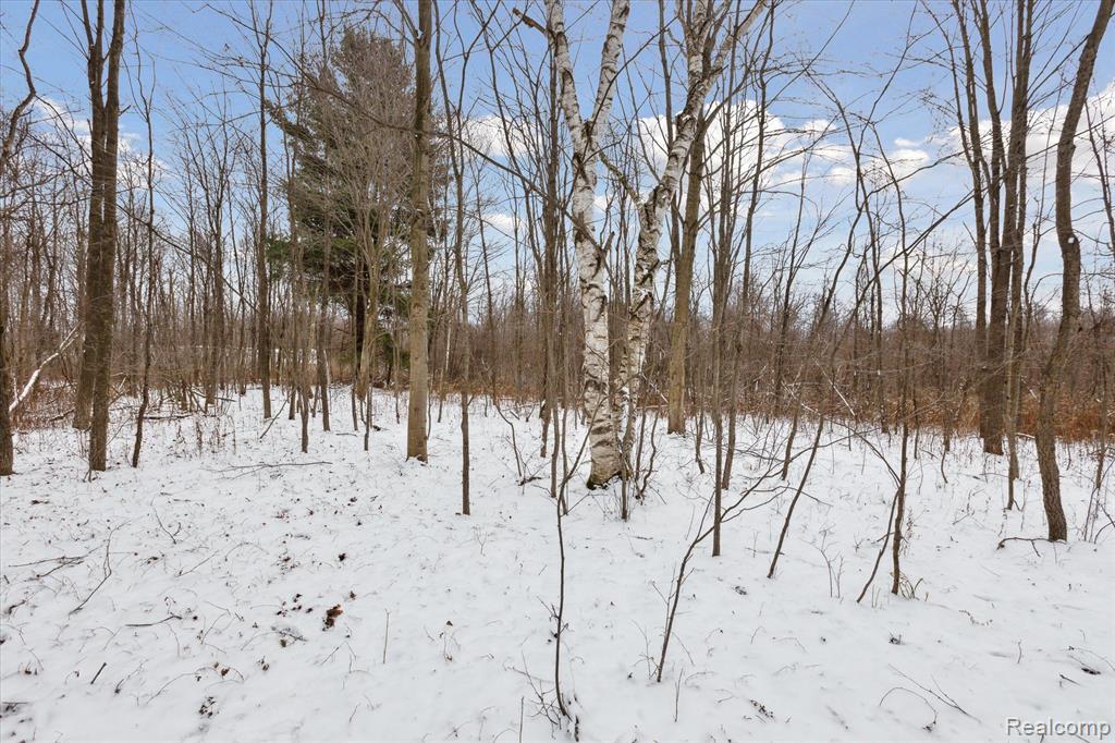 0 French Line Road Sandusky, MI 48471 - Photo 10 of 25