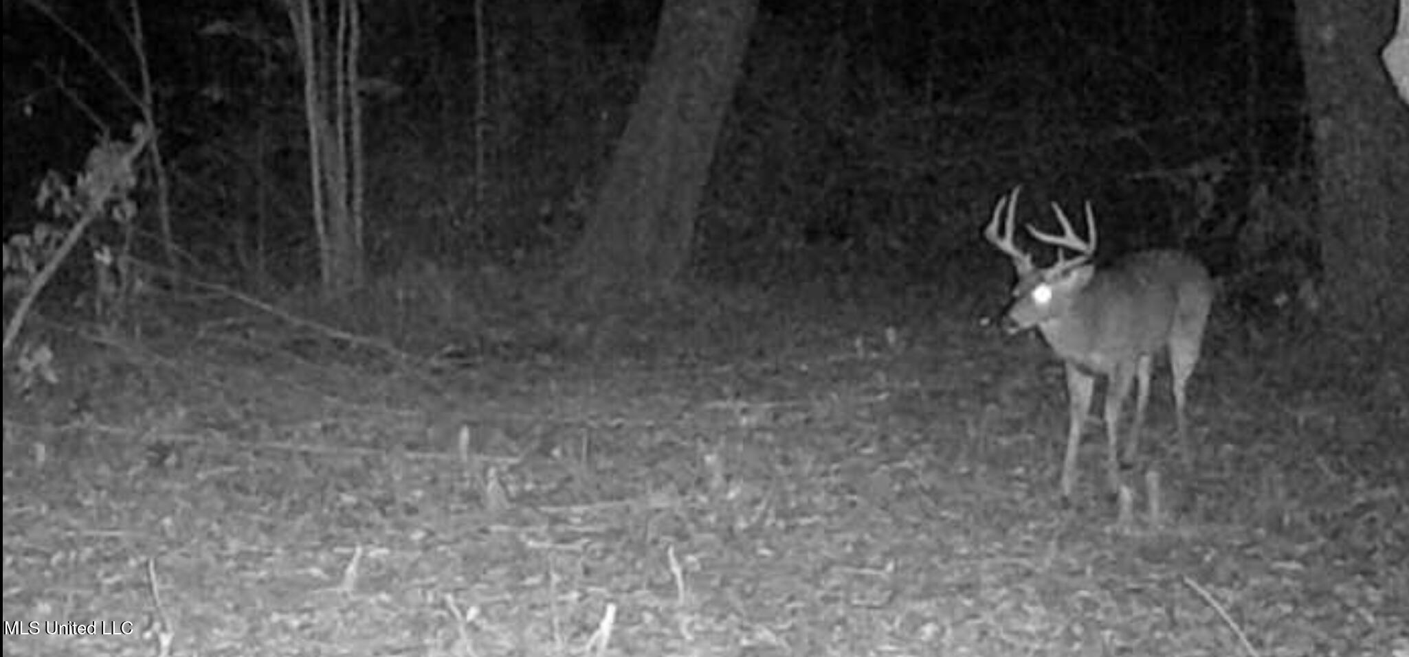 15920 East Wortham Road Saucier, MS 39574 - Photo 3 of 10 Screenshot_20220127-224438
