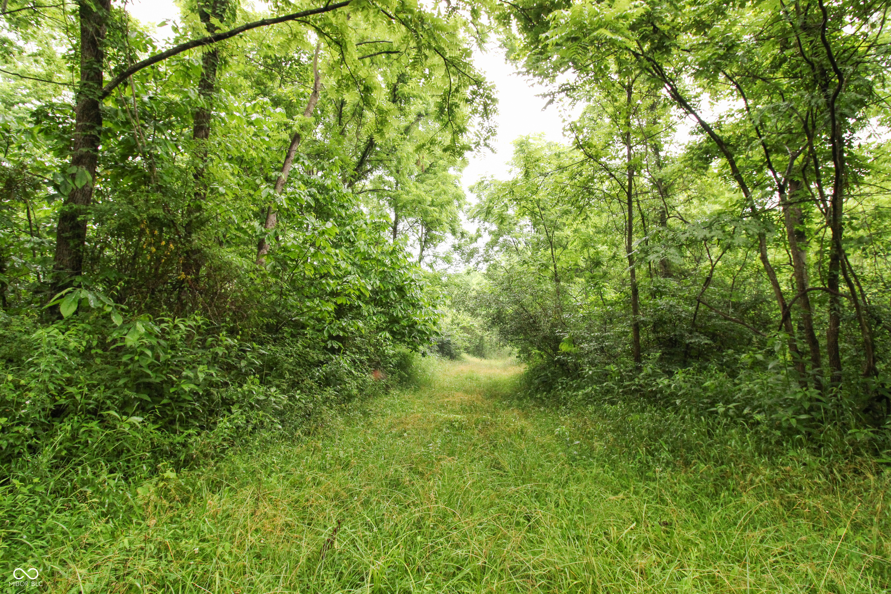 0 West Old Nashville Road Columbus, IN 47201 - Photo 4 of 14