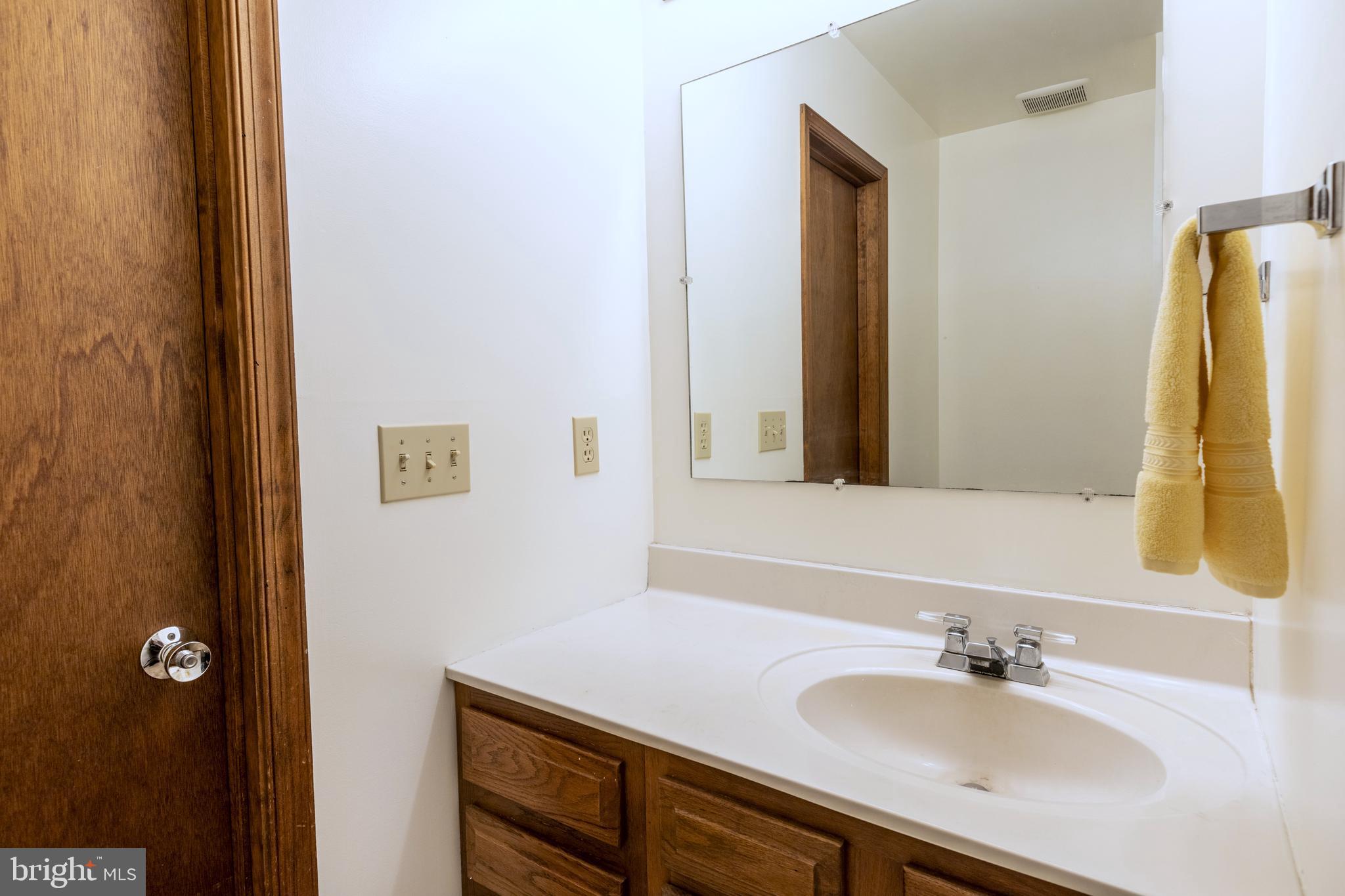 8135 Moormont Road Rapidan, VA 22733 - Photo 15 of 61 1st floor master bath