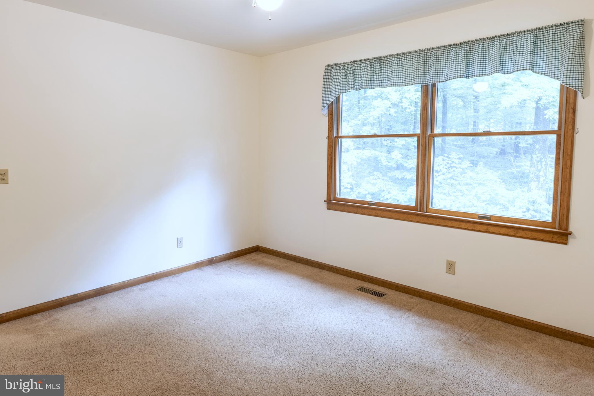8135 Moormont Road Rapidan, VA 22733 - Photo 29 of 61 Upper level bedroom