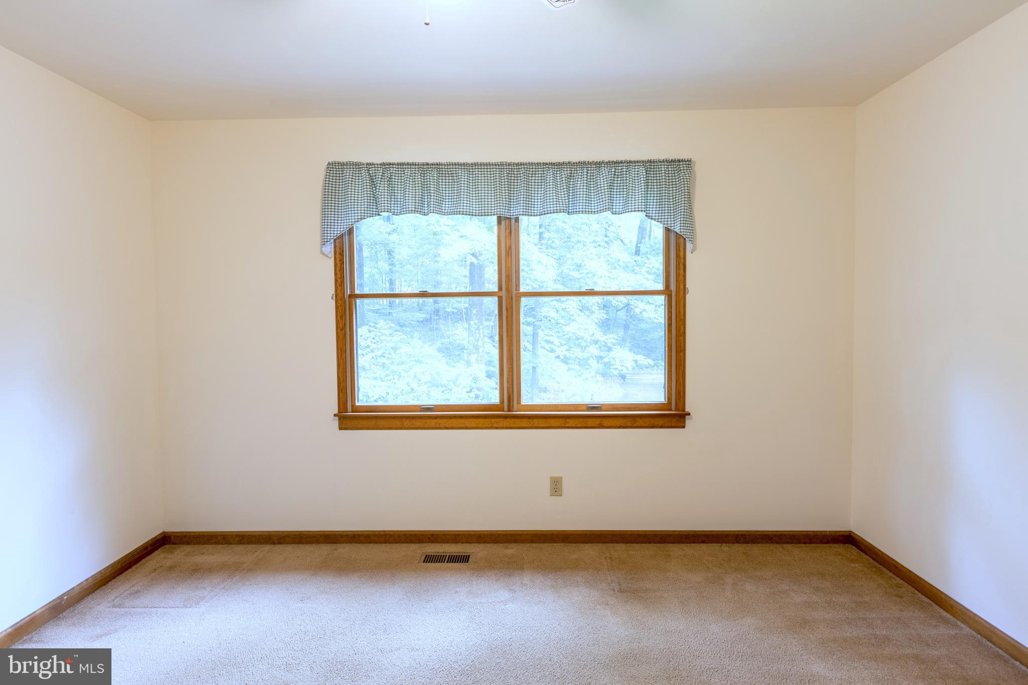 8135 Moormont Road Rapidan, VA 22733 - Photo 30 of 61 Upper Level Bedroom