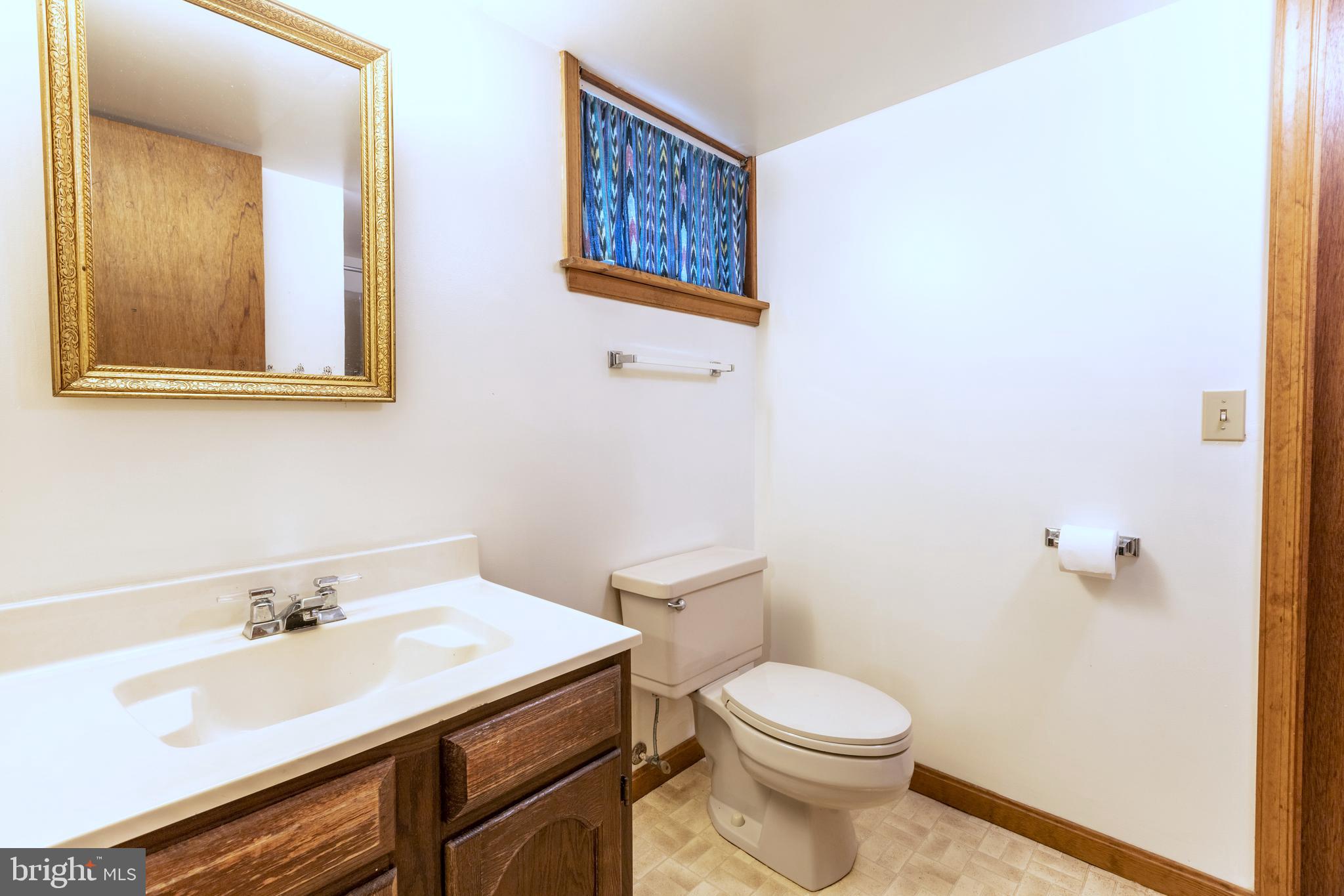 8135 Moormont Road Rapidan, VA 22733 - Photo 37 of 61 Basement Bath view 1