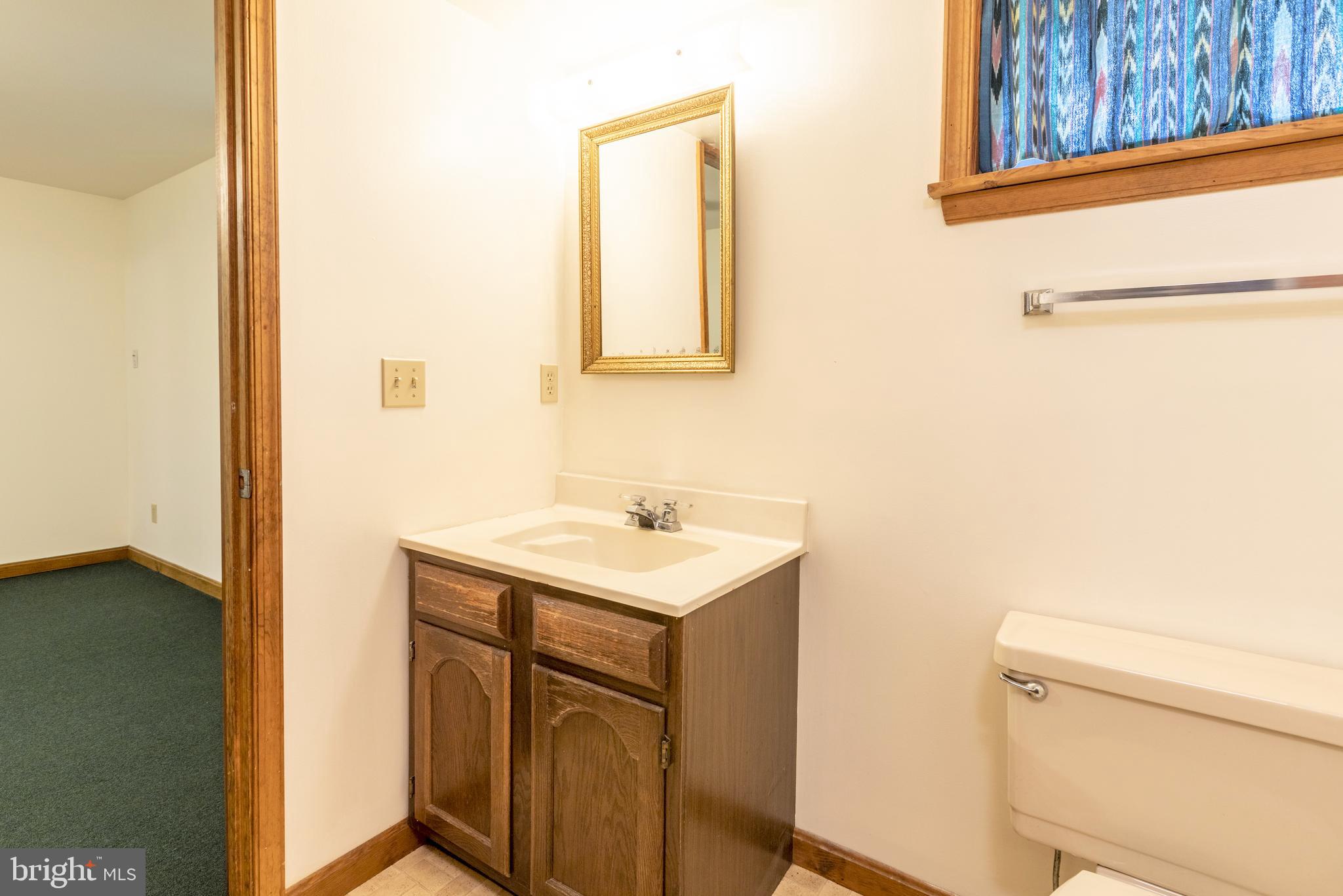 8135 Moormont Road Rapidan, VA 22733 - Photo 38 of 61 Basement Bath view 2