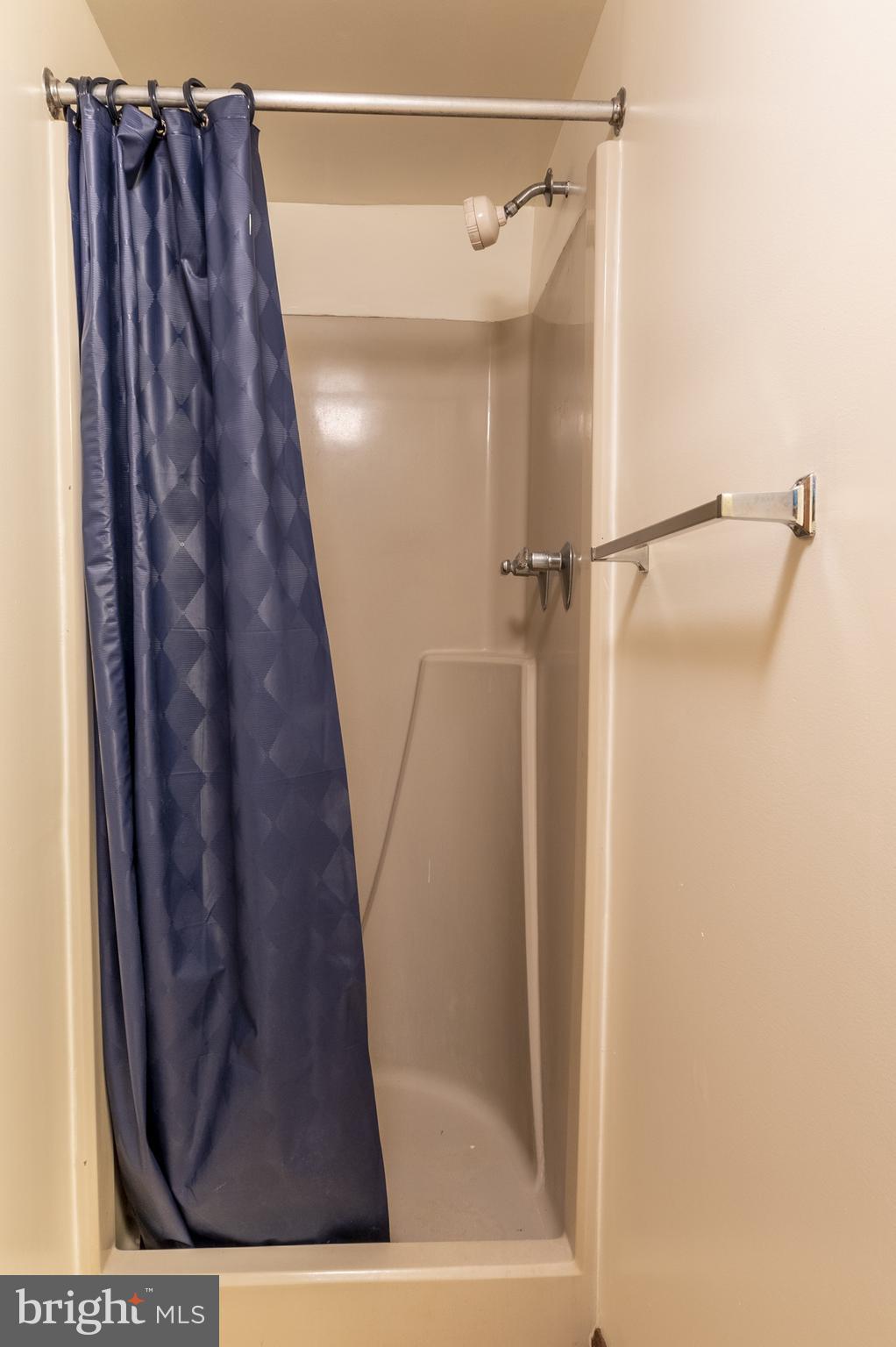 8135 Moormont Road Rapidan, VA 22733 - Photo 39 of 61 Basement Shower