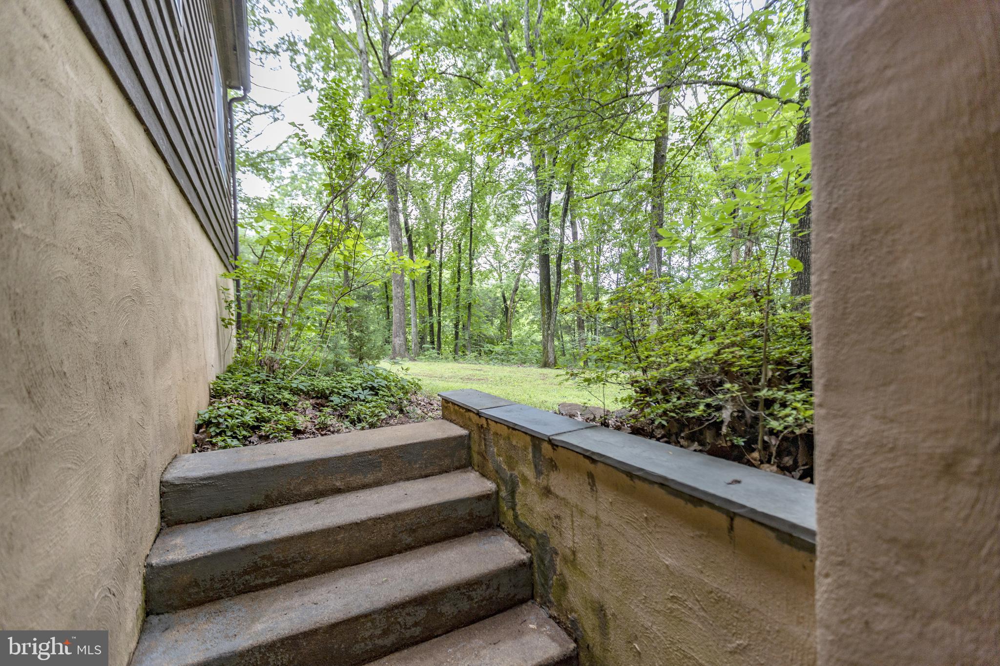 8135 Moormont Road Rapidan, VA 22733 - Photo 40 of 61 A few steps out to the back yard