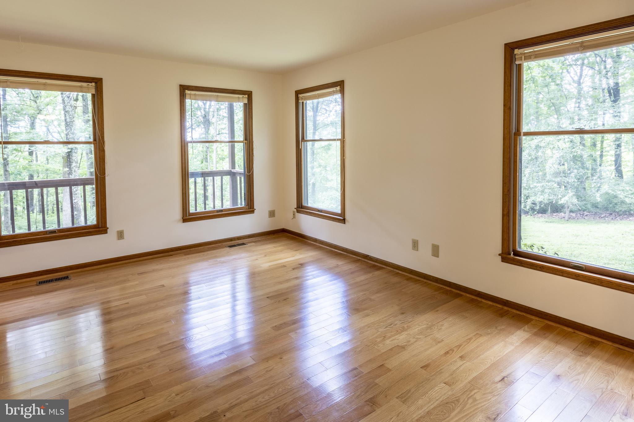8135 Moormont Road Rapidan, VA 22733 - Photo 5 of 61 Wood Floors Really do Gleam!