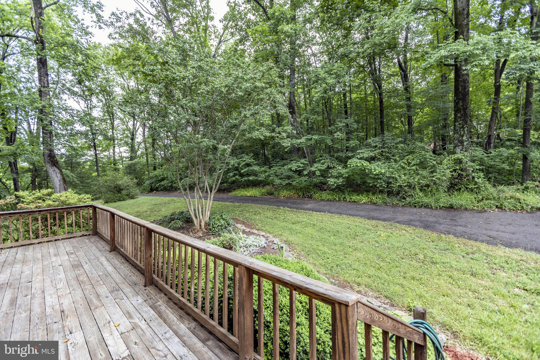 8135 Moormont Road Rapidan, VA 22733 - Photo 51 of 61 Decking off the kitchen