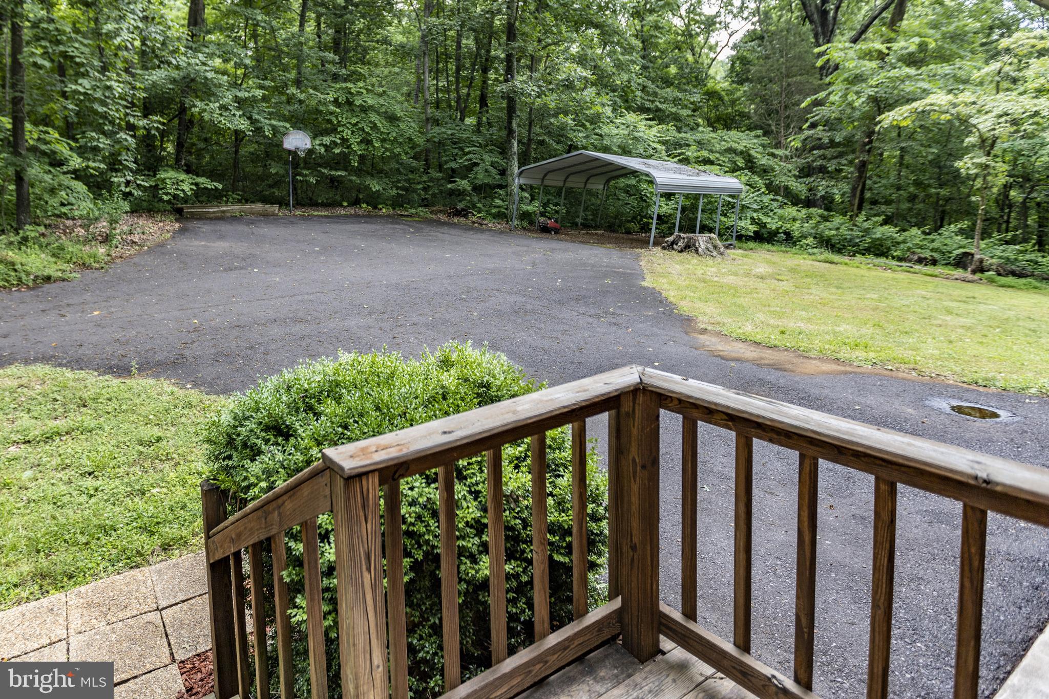 8135 Moormont Road Rapidan, VA 22733 - Photo 53 of 61 Looking out to the guest parking area