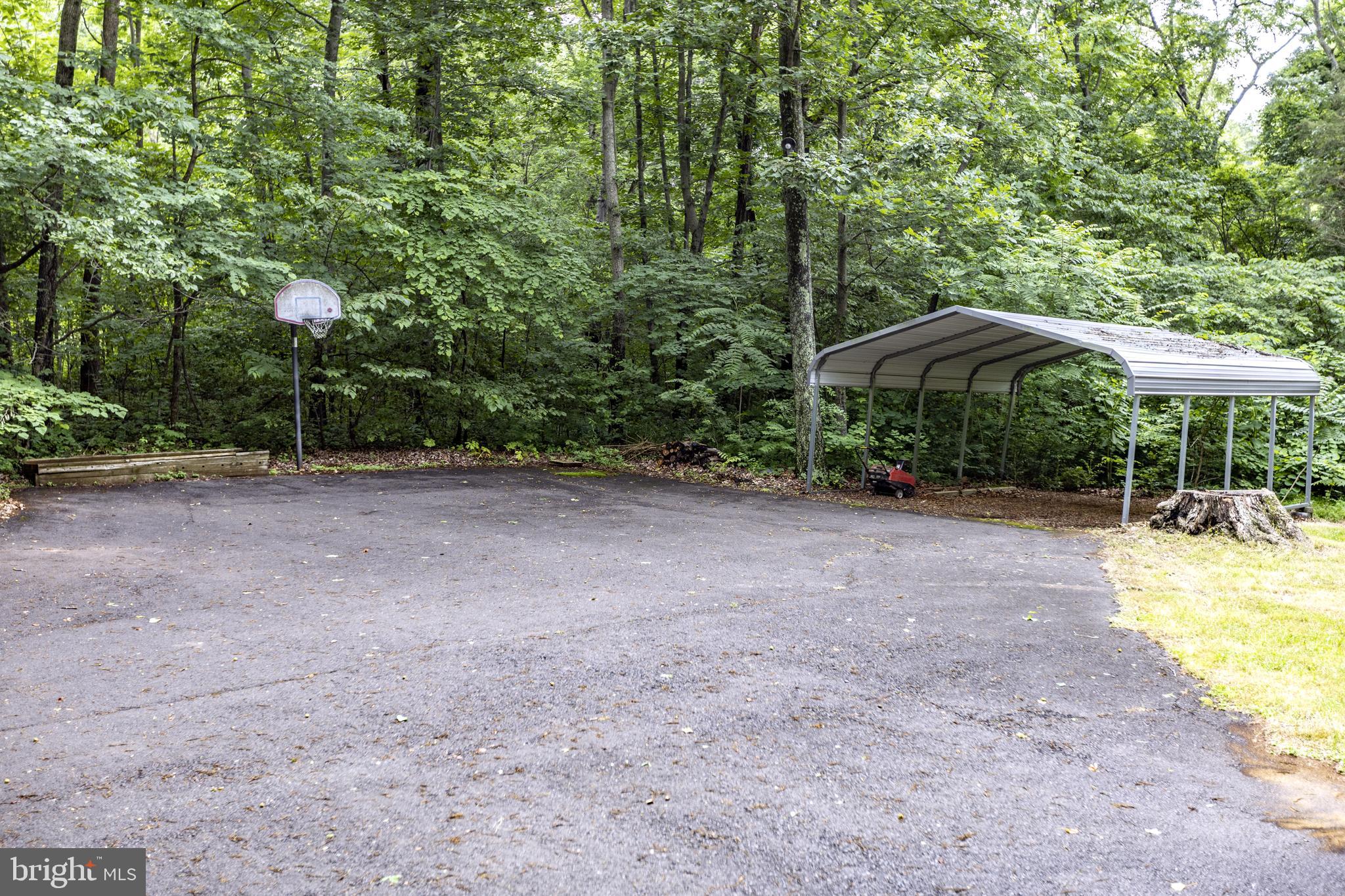 8135 Moormont Road Rapidan, VA 22733 - Photo 54 of 61 Lot's of turn around and parking space