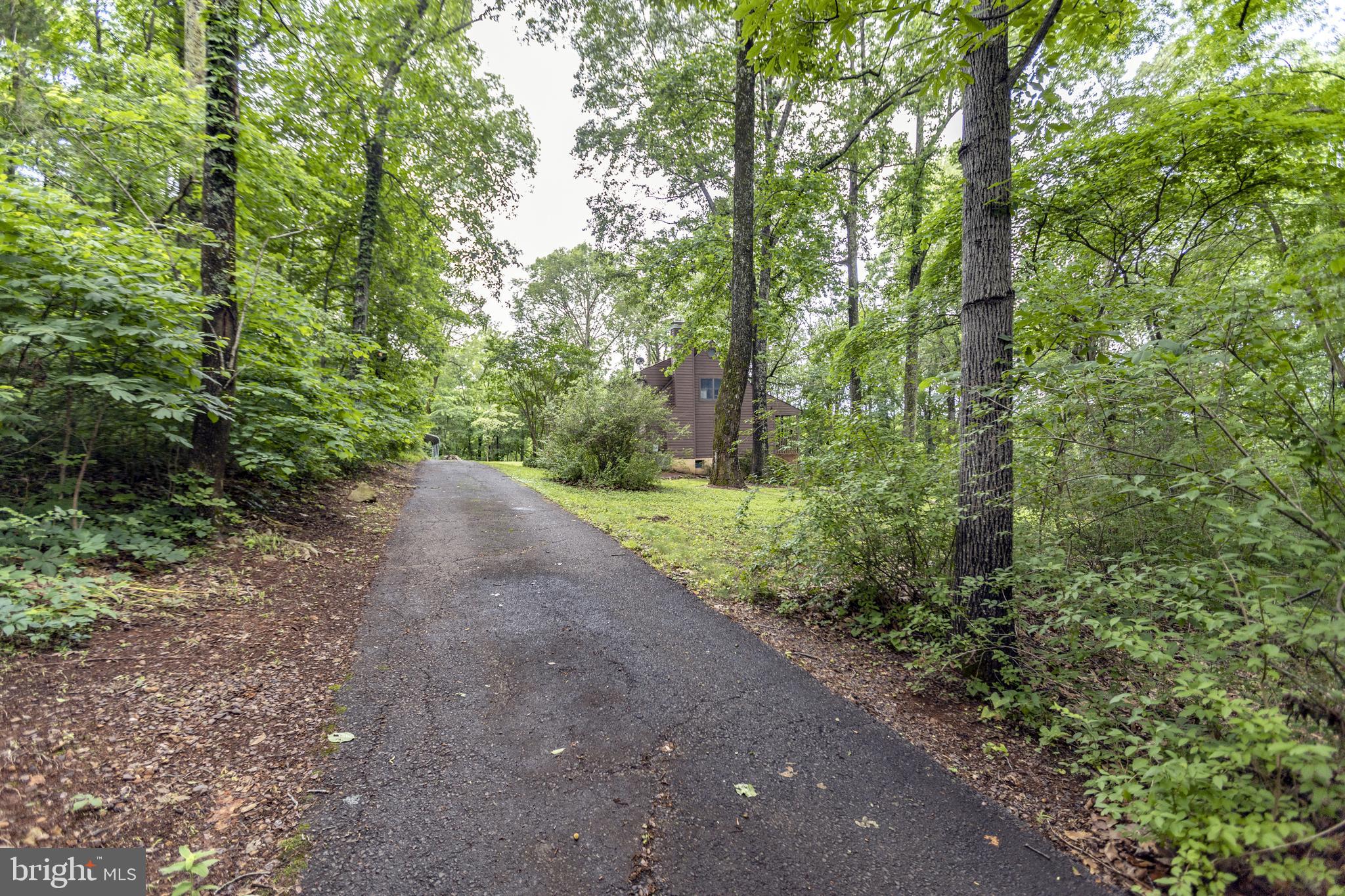 8135 Moormont Road Rapidan, VA 22733 - Photo 61 of 61 Beautiful, tree-lined drive, private & paved!