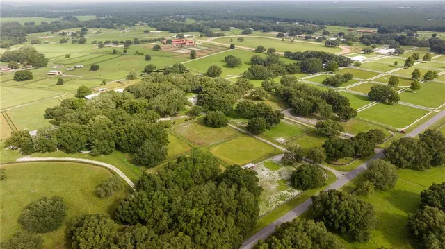 a bench is sitting in the middle of a yard
