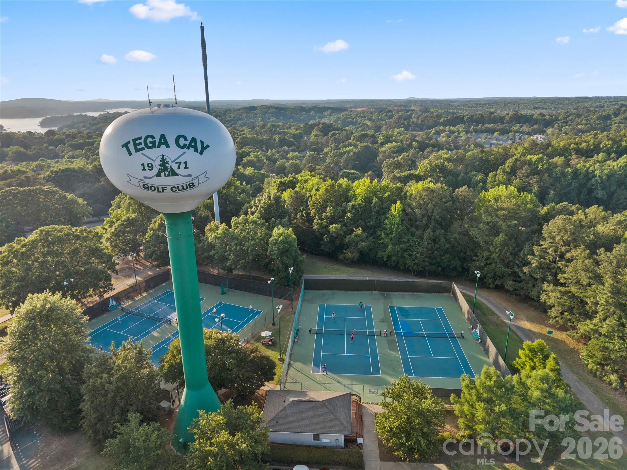 3072 Point Clear Drive Tega Cay, SC 29708 - Photo 42 of 47