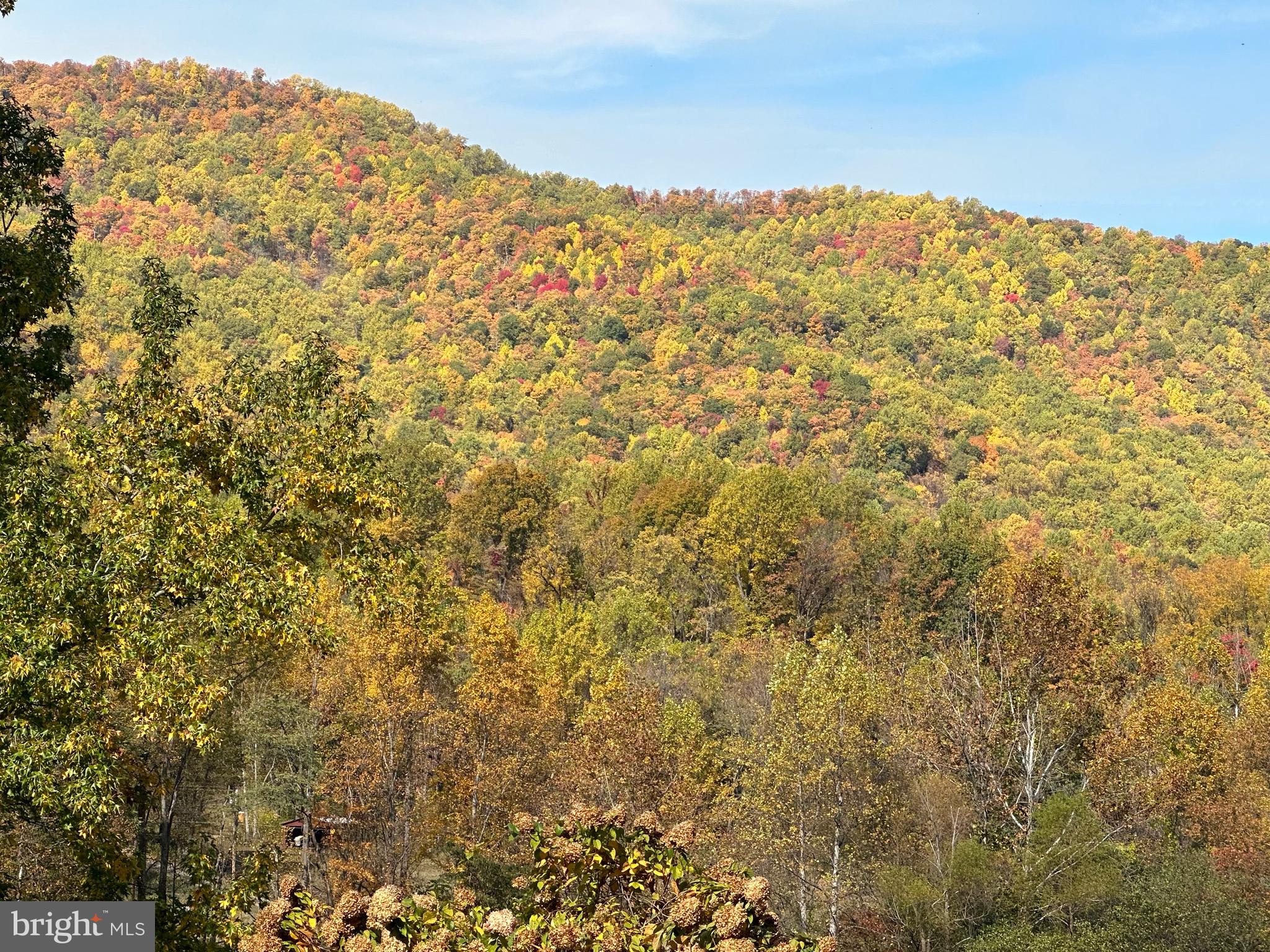 1463 Quaker Run Road Banco, VA 22727 - Photo 22 of 44 Gallery Image 22