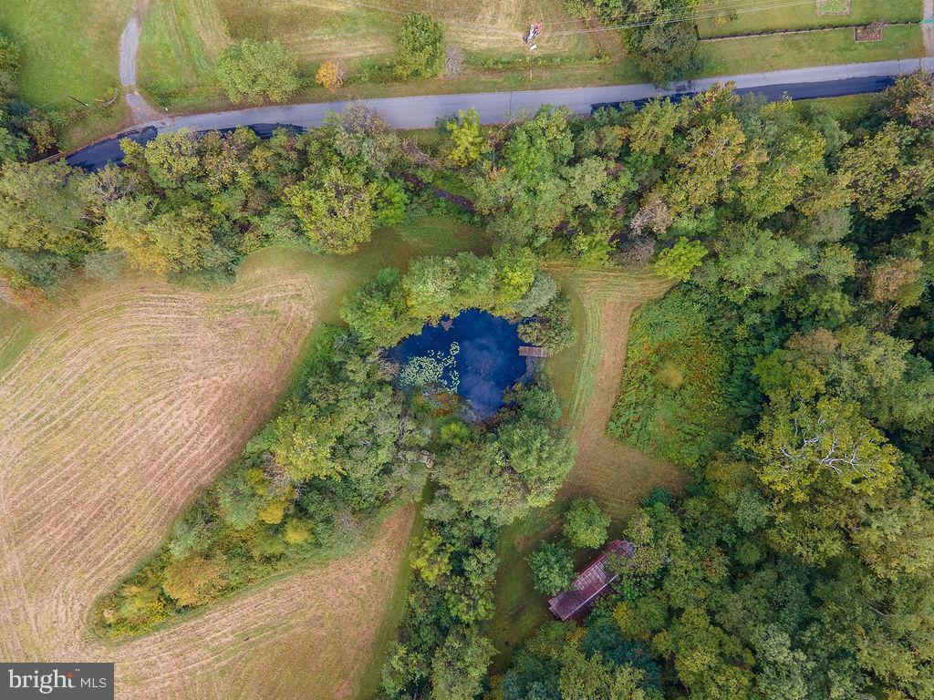 1463 Quaker Run Road Banco, VA 22727 - Photo 9 of 44 Gallery Image 9