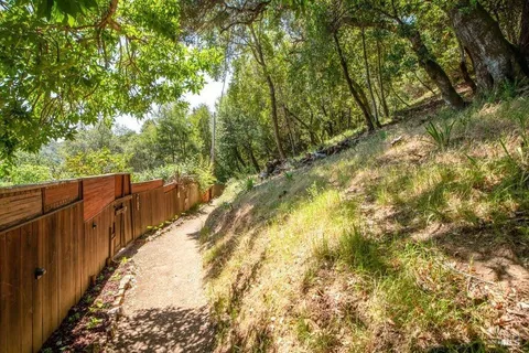 a view of a pathway both side of yard