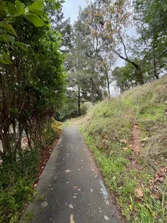 a view of a patio with wooden fence