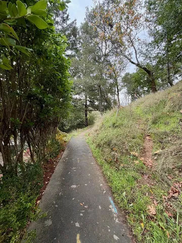 $849,000 | 51 Berry Trail, Fairfax, CA 94930