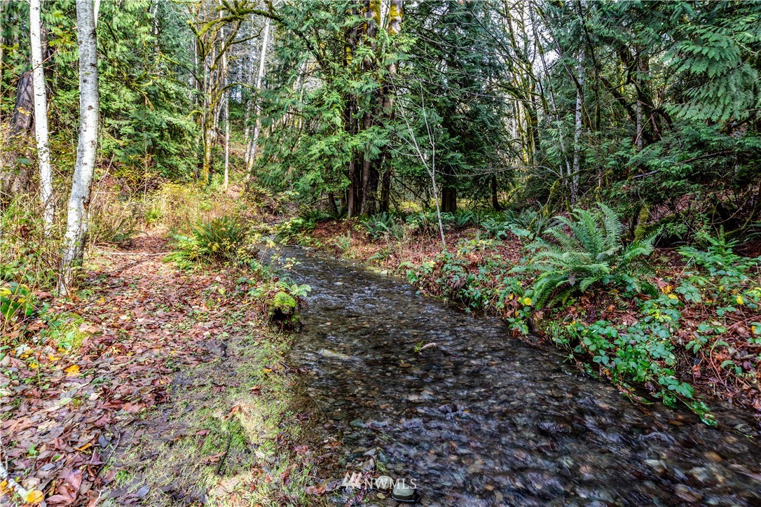 420 Duckabush Road Brinnon, WA 98320 - Photo 2 of 34 Gallery Image 2