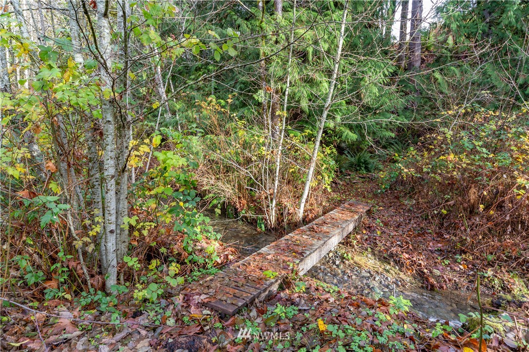 420 Duckabush Road Brinnon, WA 98320 - Photo 21 of 34 Gallery Image 21