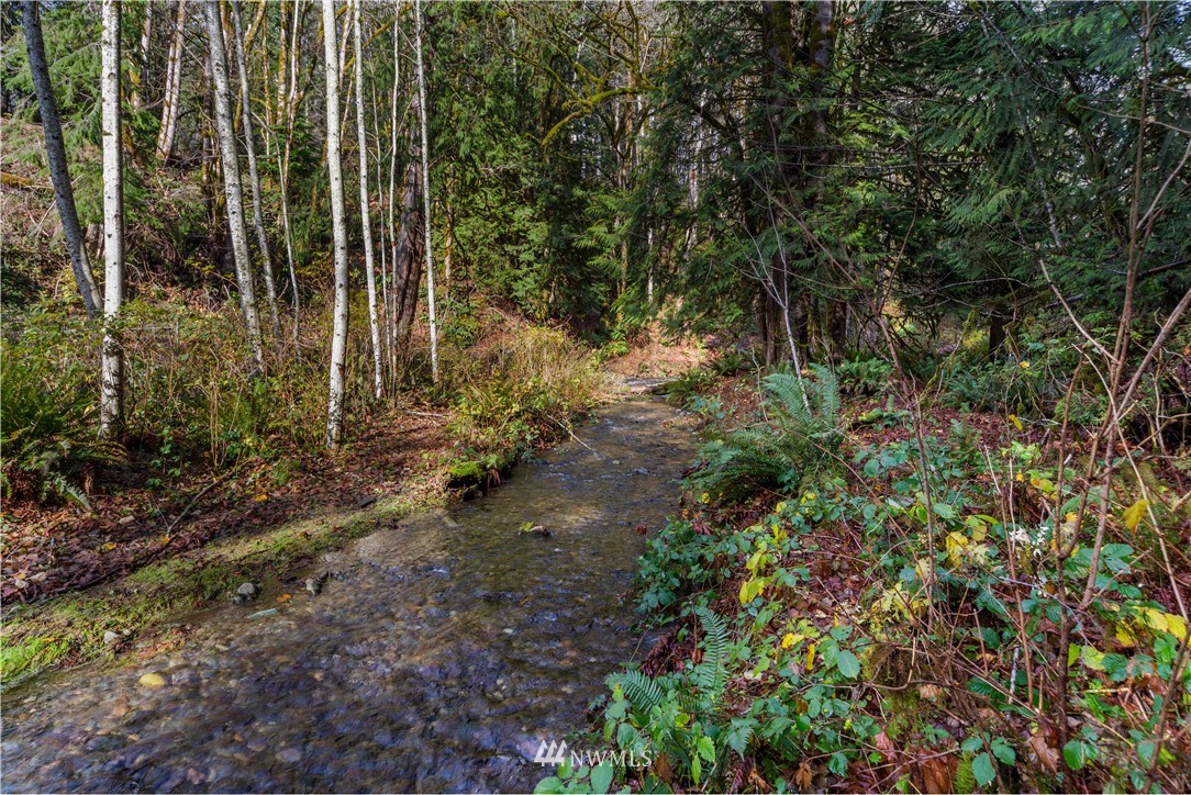 420 Duckabush Road Brinnon, WA 98320 - Photo 23 of 34 Gallery Image 23