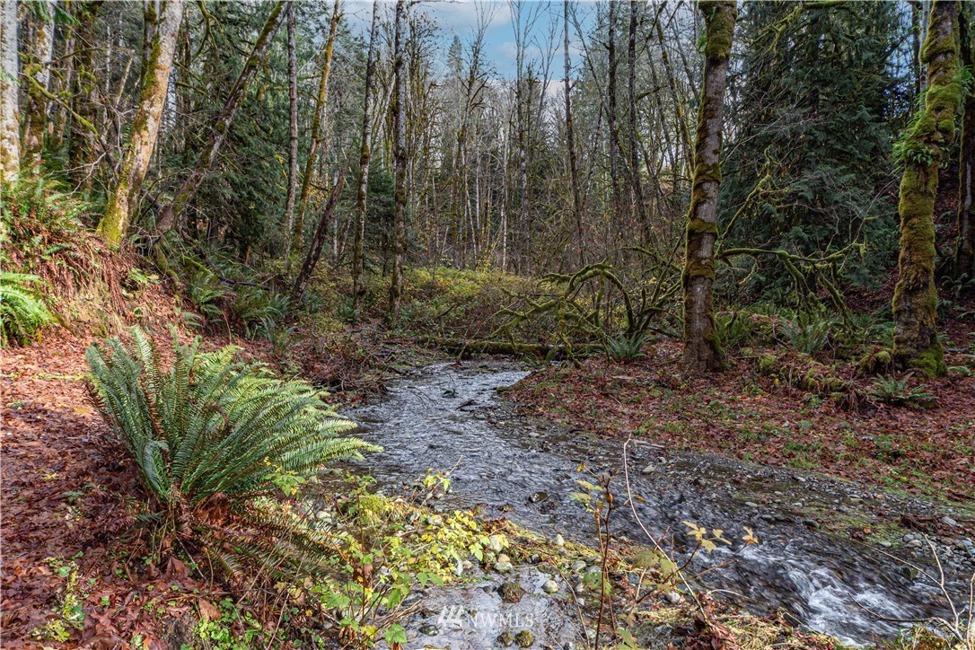 420 Duckabush Road Brinnon, WA 98320 - Photo 24 of 34 Gallery Image 24
