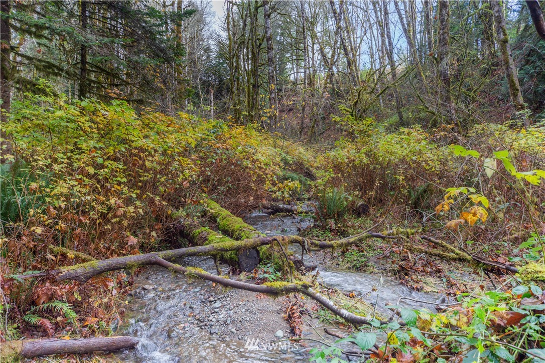 420 Duckabush Road Brinnon, WA 98320 - Photo 25 of 34 Gallery Image 25