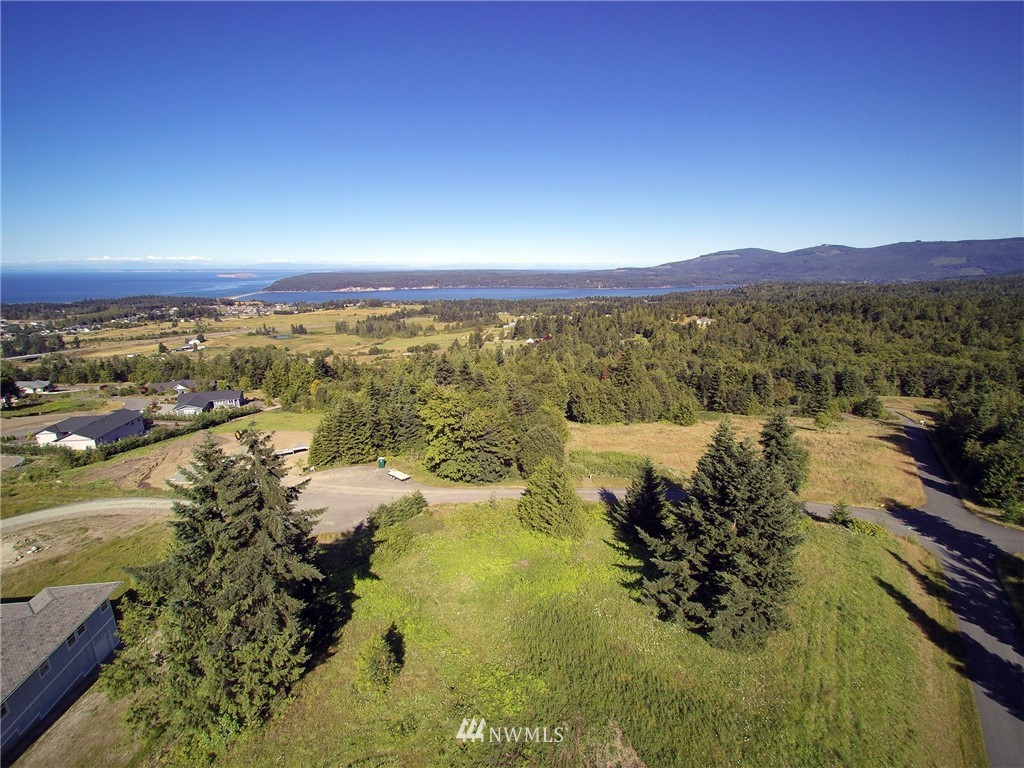 213 Elk Pass Road Sequim, WA 98382 - Photo 1 of 37 Gallery Image 1