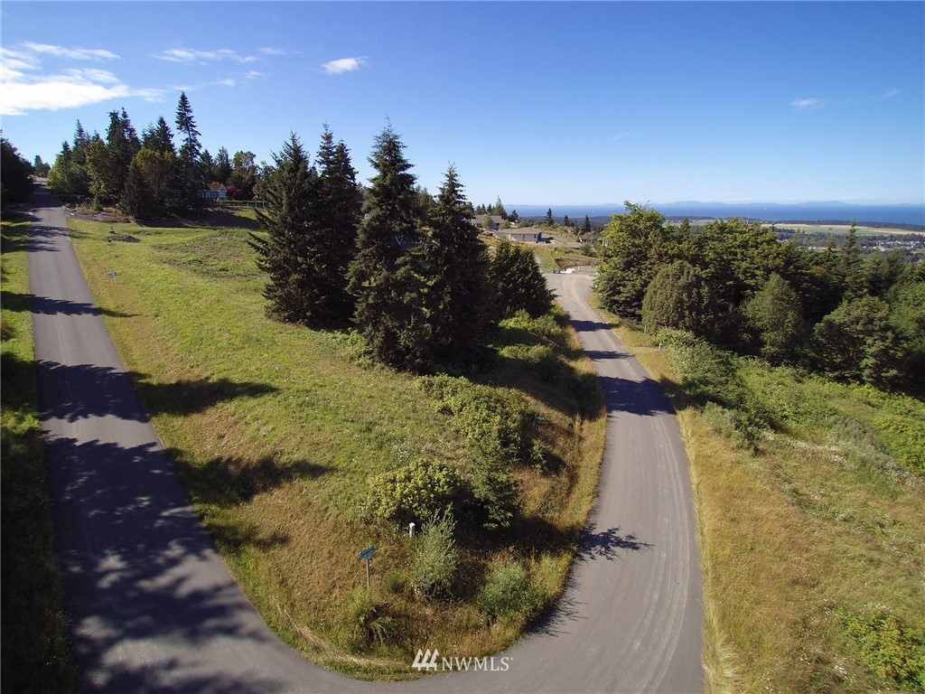 213 Elk Pass Road Sequim, WA 98382 - Photo 14 of 37 Gallery Image 14