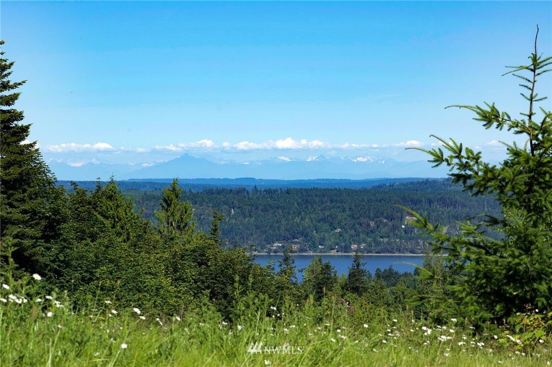 213 Elk Pass Road Sequim, WA 98382 - Photo 3 of 37 Gallery Image 3