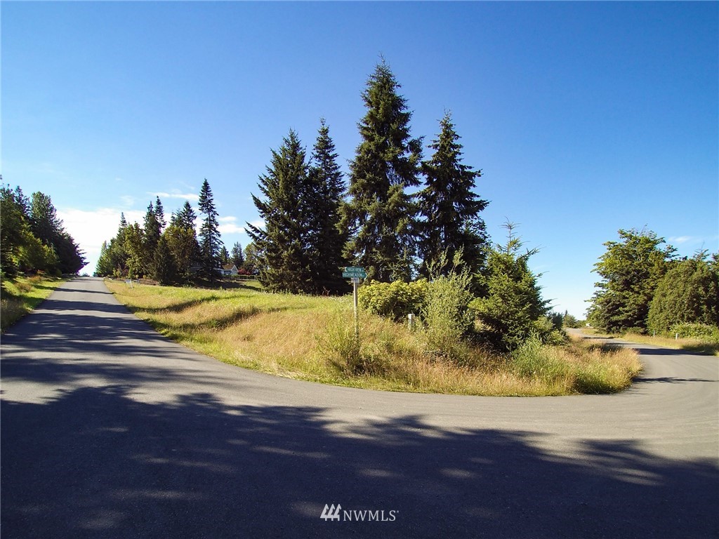 213 Elk Pass Road Sequim, WA 98382 - Photo 21 of 37 Gallery Image 21