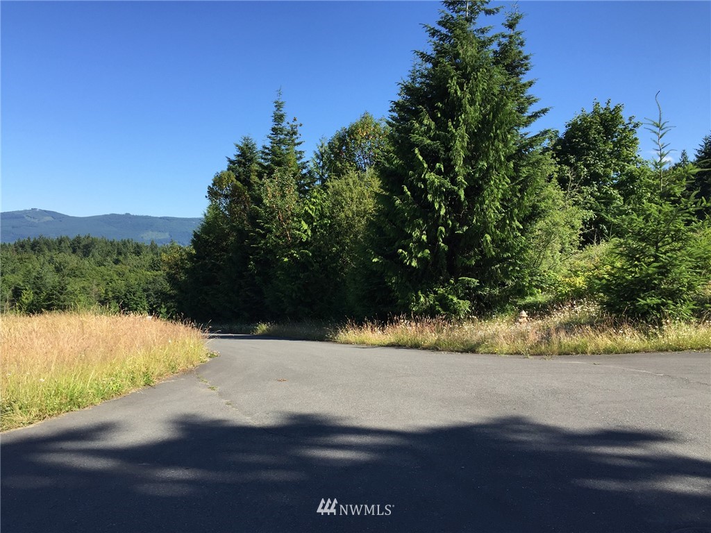213 Elk Pass Road Sequim, WA 98382 - Photo 23 of 37 Gallery Image 23