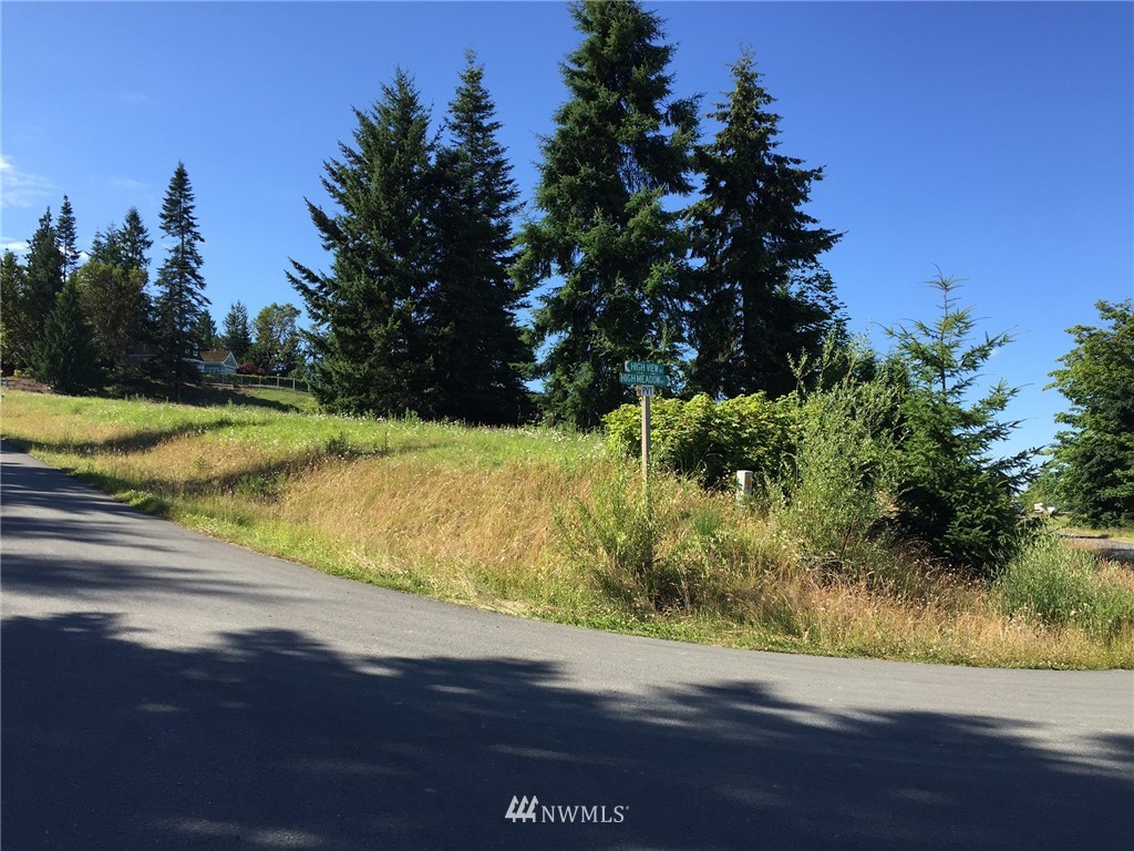 213 Elk Pass Road Sequim, WA 98382 - Photo 24 of 37 Gallery Image 24