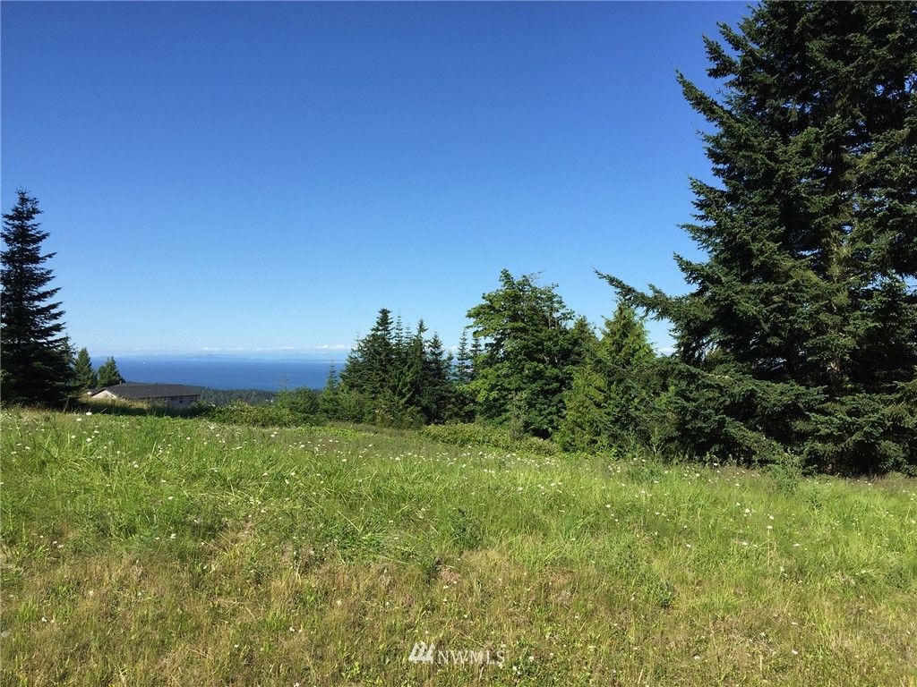 213 Elk Pass Road Sequim, WA 98382 - Photo 28 of 37 Gallery Image 28